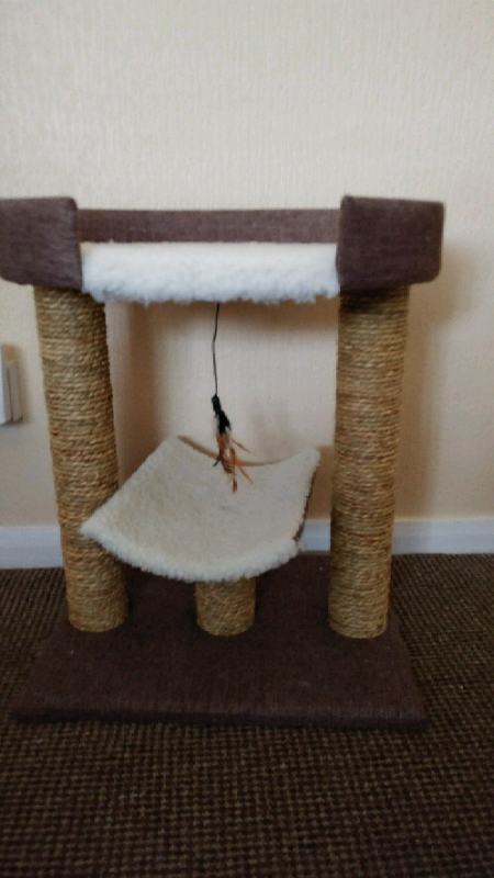 gumtree cat scratching post